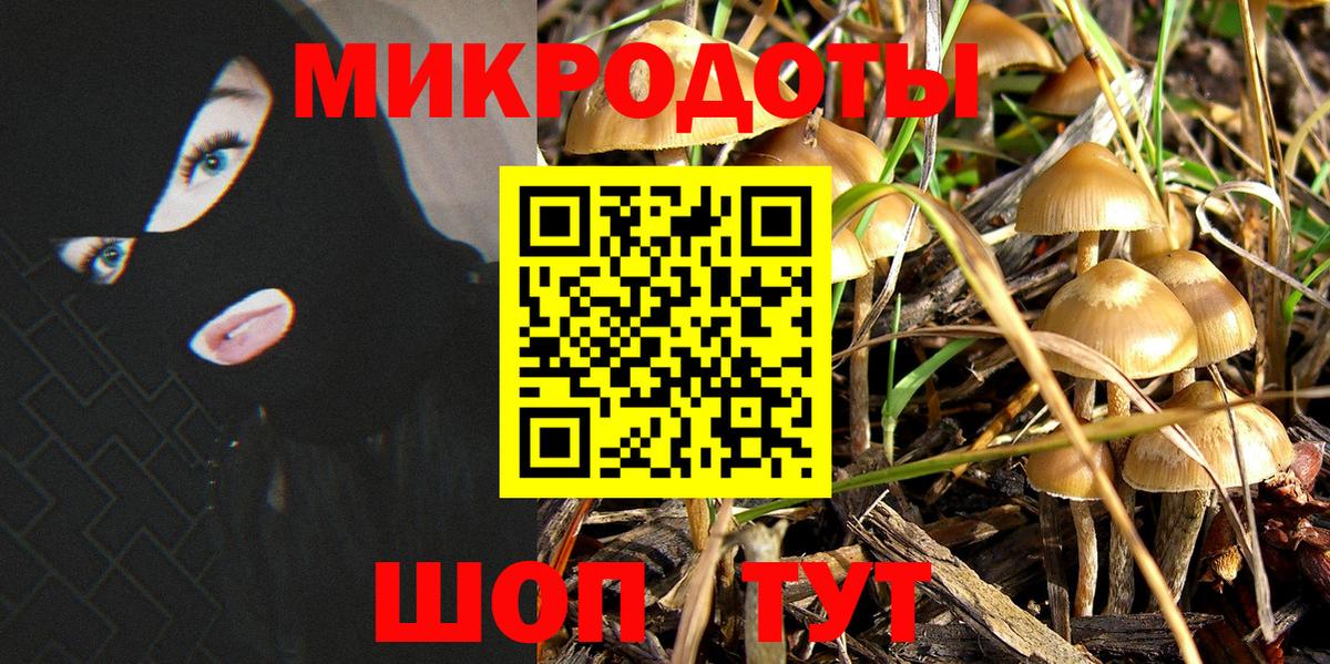 Псилоцибиновые грибы Magic Shrooms Елизово