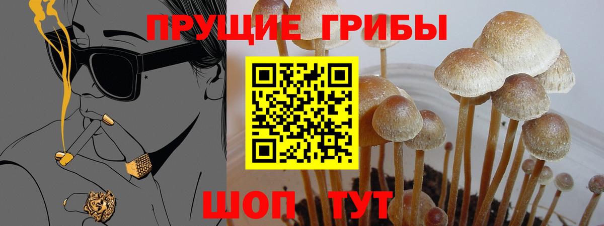 Галлюциногенные грибы прущие грибы  Вход с VPN  Елизово 